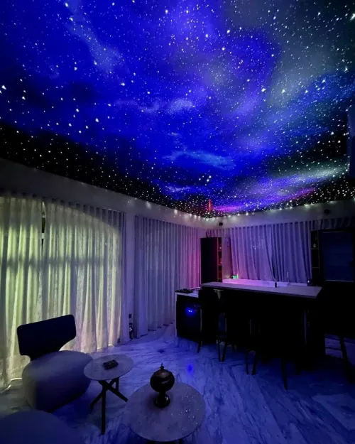 PLAFOND TENDU - TOILE TENDUE - PROTECO - بروتيكو