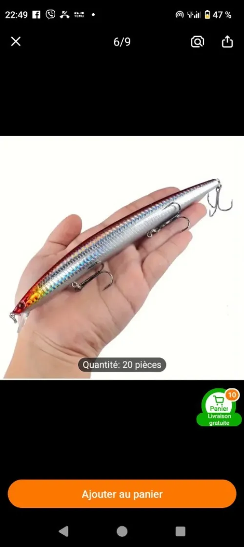 Leurre de pêche 