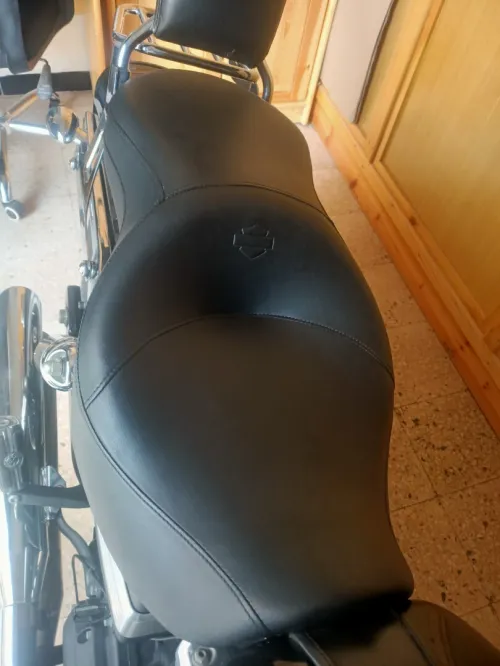 Harley Davidson Softeil 