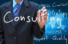 EXPERT Consultant IT