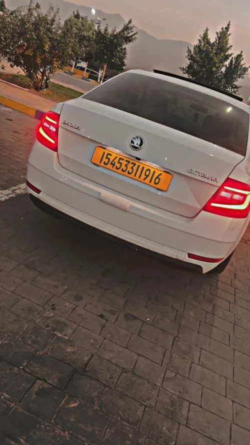 Skoda Octavia 2019 Elegance DGS