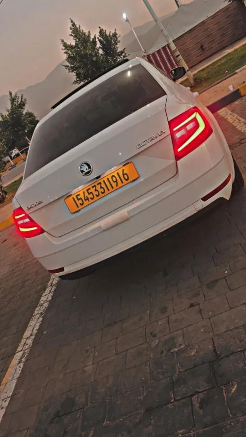 Skoda Octavia 2019 Elegance DGS