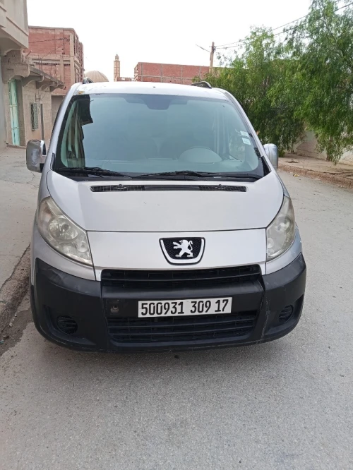 Peugeot Expert 2009 Expert