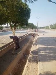 Vente Terrain Djelfa Djelfa