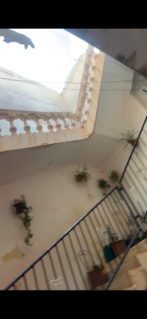 Vente Villa Sidi Bel Abbès Sidi bel abbes