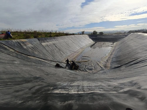 Installation & Pose Géomembrane Bassin d'irrigation SERVICE PRO
