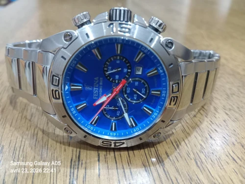 Festina F20543