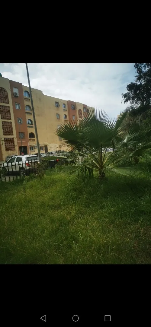 Vente Appartement F4 Alger Ain benian