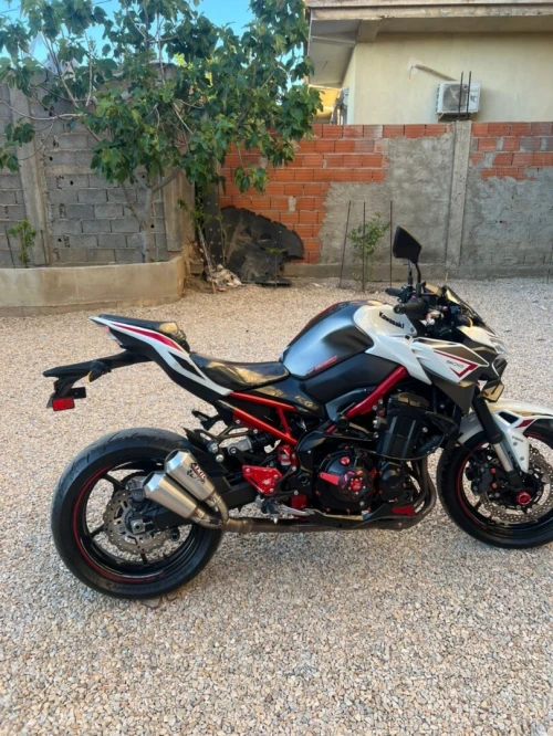 Kawasaki Z 900 2022