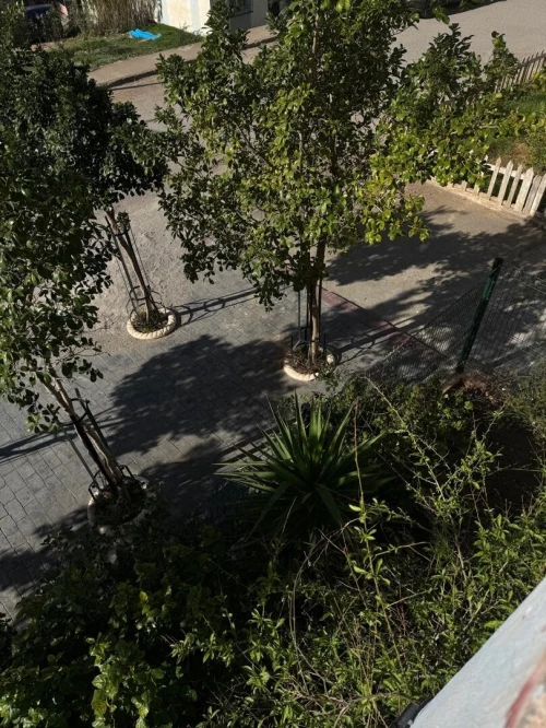 Vente Appartement F4 Boumerdès Boumerdes