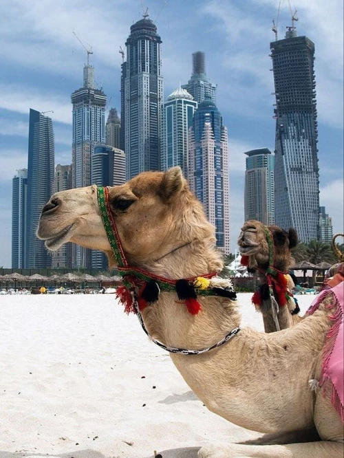 LE QATAR POUR LA FIN D'ANNEE 2025, UNE EXPERIENCE A NE PAS RATER, A PARTIR DE 232000 DA!!