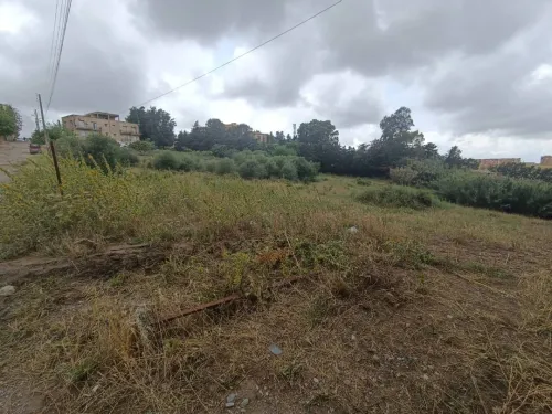Vente Terrain Alger Souidania