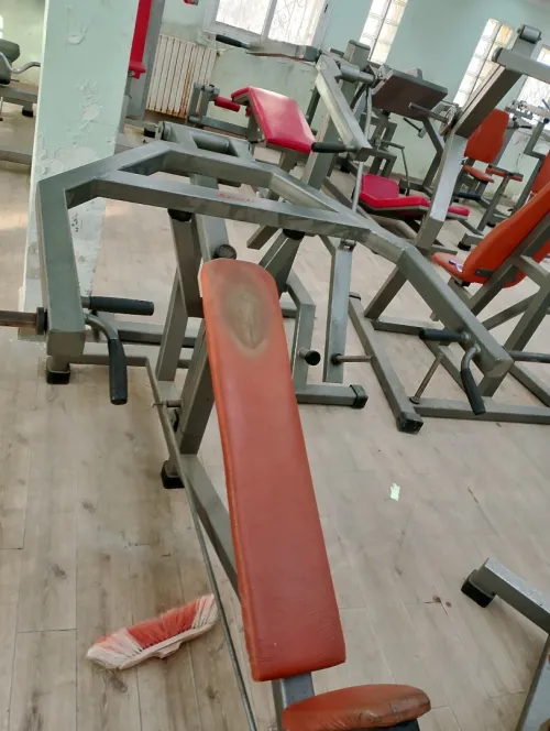 Presses de musculation " Apollon gym"