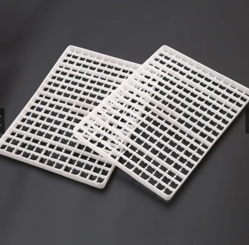 السمان Caille plateaux طبق