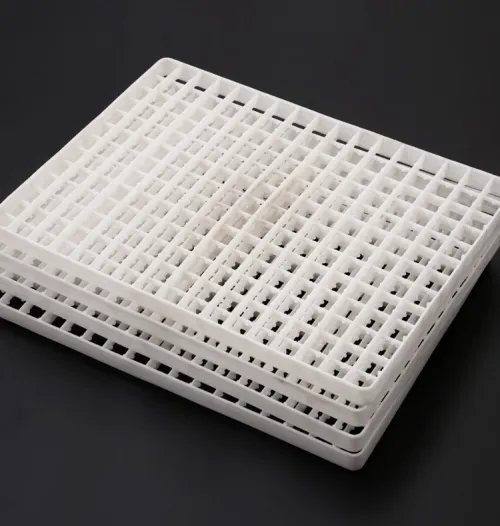 السمان Caille plateaux طبق