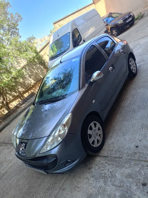Peugeot 206 Plus 2010 206 Plus