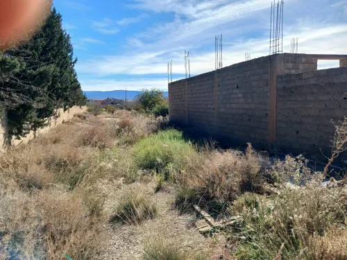 Vente Terrain Batna Ain touta