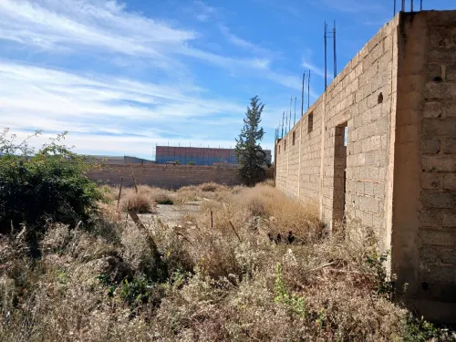 Vente Terrain Batna Ain touta