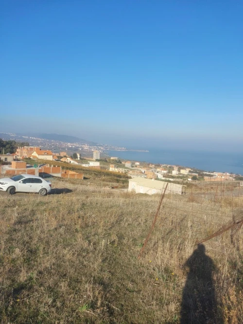 Vente Terrain Boumerdès Afir