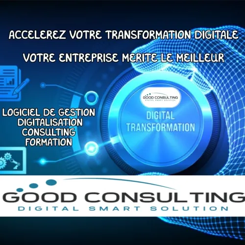 Logiciel de gestion _ Digitalisation et Consulting