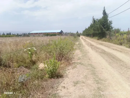 Vente Terrain Agricole Tipaza Tipaza