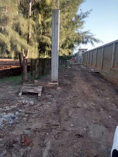 Vente Terrain Tipaza Attatba