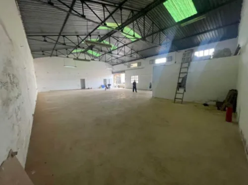Vente Hangar Tipaza Kolea