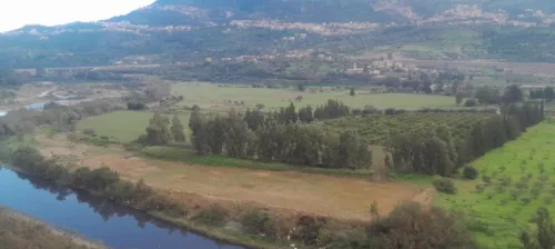 Vente Terrain Agricole Béjaïa Timezrit