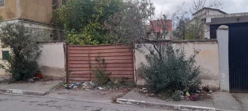 Vente Terrain Blida Blida