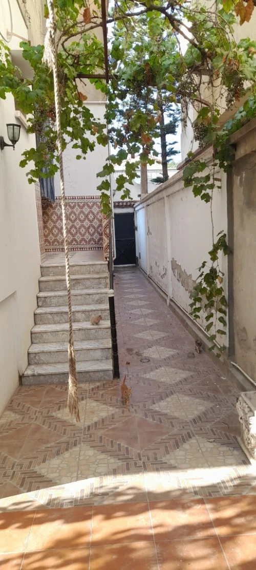 Vente Villa Blida Blida