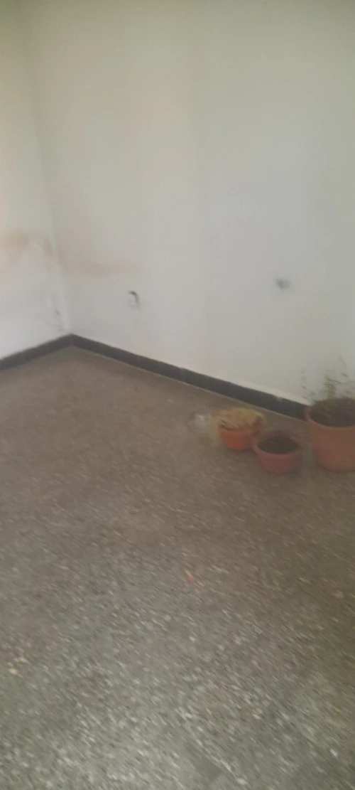 Vente Appartement F4 Blida Blida