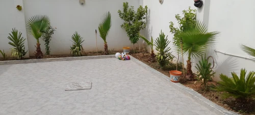 Vente Villa Blida Blida