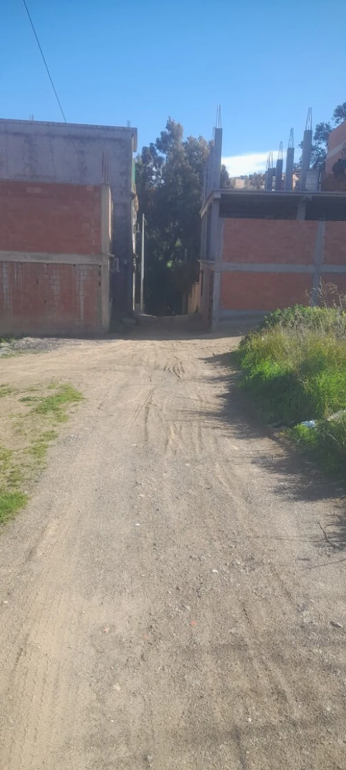 Vente Terrain Blida Blida