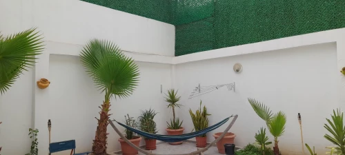Vente Villa Blida Blida