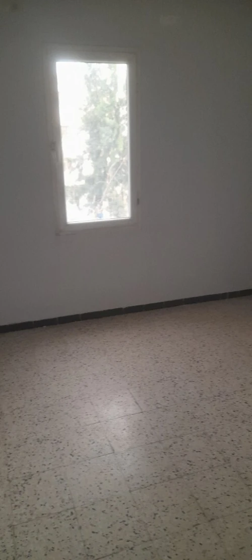Location Appartement F2 Blida Ouled yaich