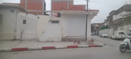 Vente Terrain Blida Blida