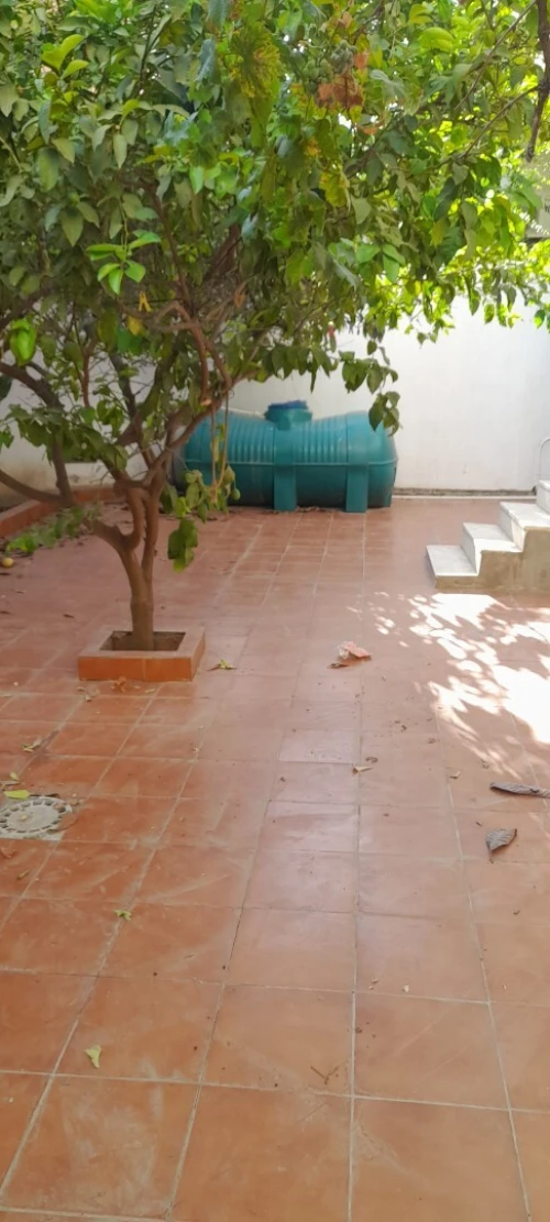 Vente Villa Blida Blida