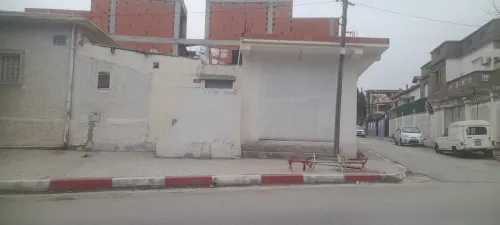 Vente Terrain Blida Blida