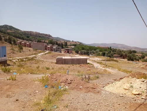 Vente Terrain Tlemcen Mansourah