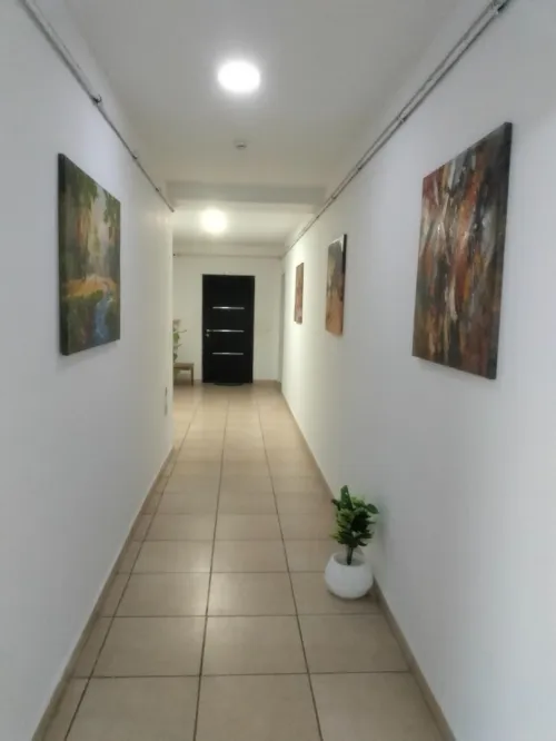 Location Appartement F3 Oran Oran