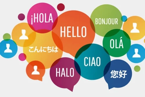 Prof anglais et français en ligne
