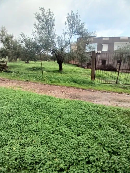Vente Terrain Béjaïa Ouzellaguen