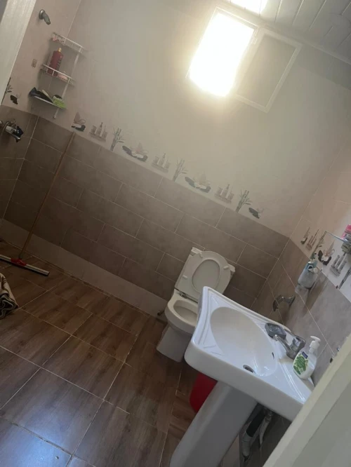 Vente Villa Alger Les eucalyptus