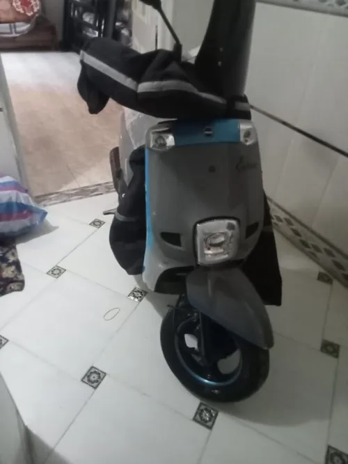 Estate VMS 2021