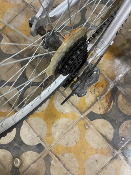 4 velo