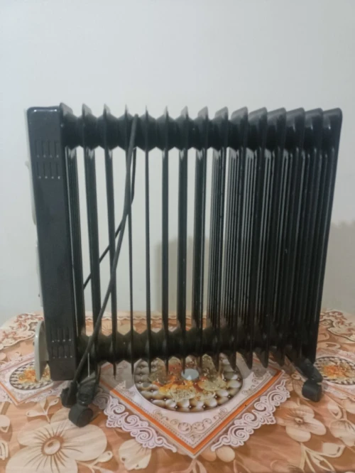 Ban d'huile électrique cobra