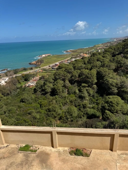 Vente Villa Tipaza Ain tagourait