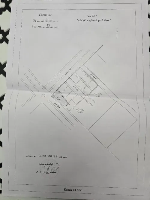 Vente Terrain Batna Ain touta