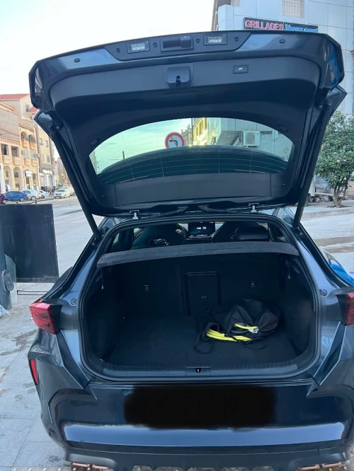 Seat Cupra  2025 Formentor
