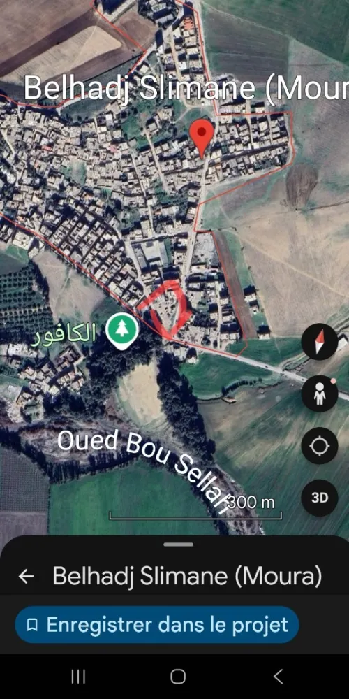Vente Terrain Mila Ferdjioua